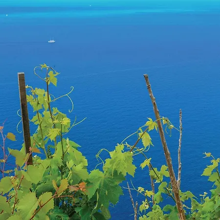 One-bedroom In * Dubrava